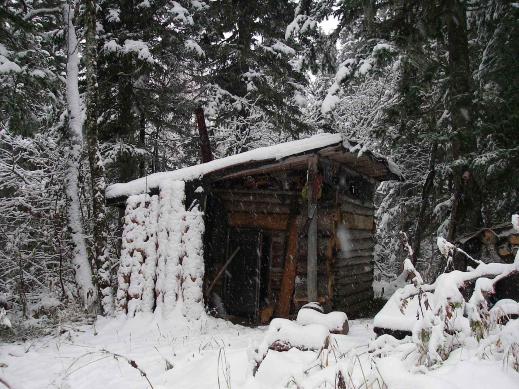 Сторожка. Лесная сторожка. Сторожка избушка. Интересная сторожка. Фирсановская Лесная сторожка.