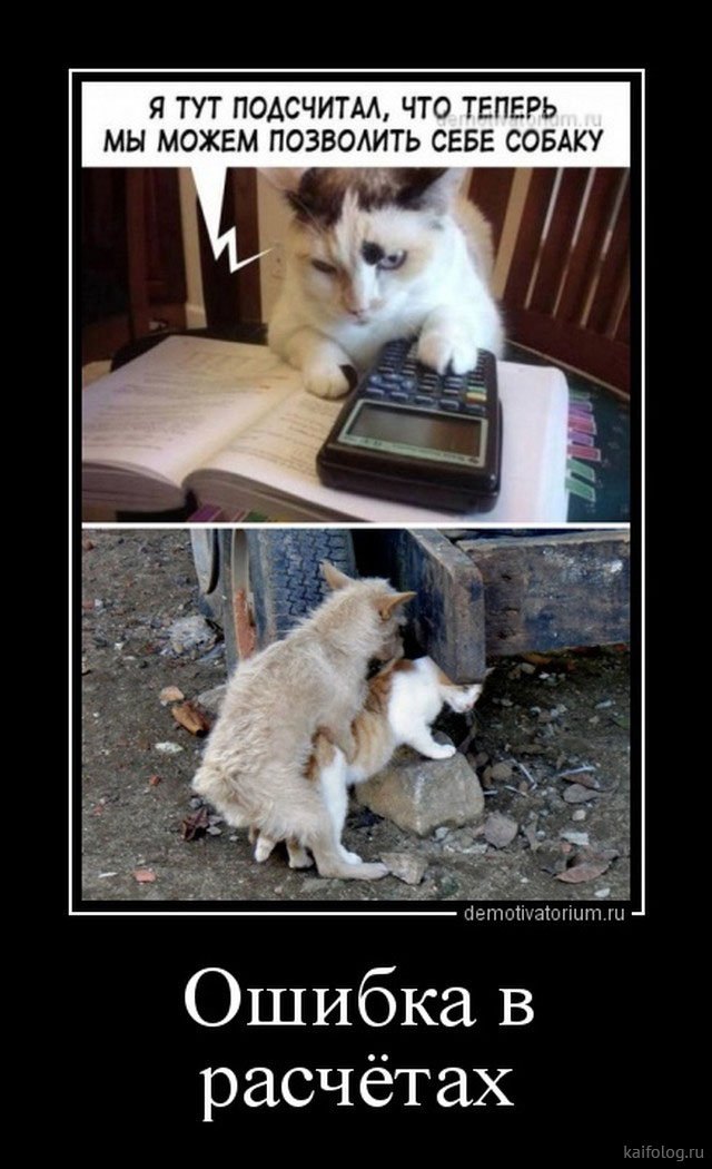 Анекдоты гусарские. Интеллектуальный юмор в картинках. Анекдоты гусарские. Безработный прикол. Позвольте вам возразить картинки.