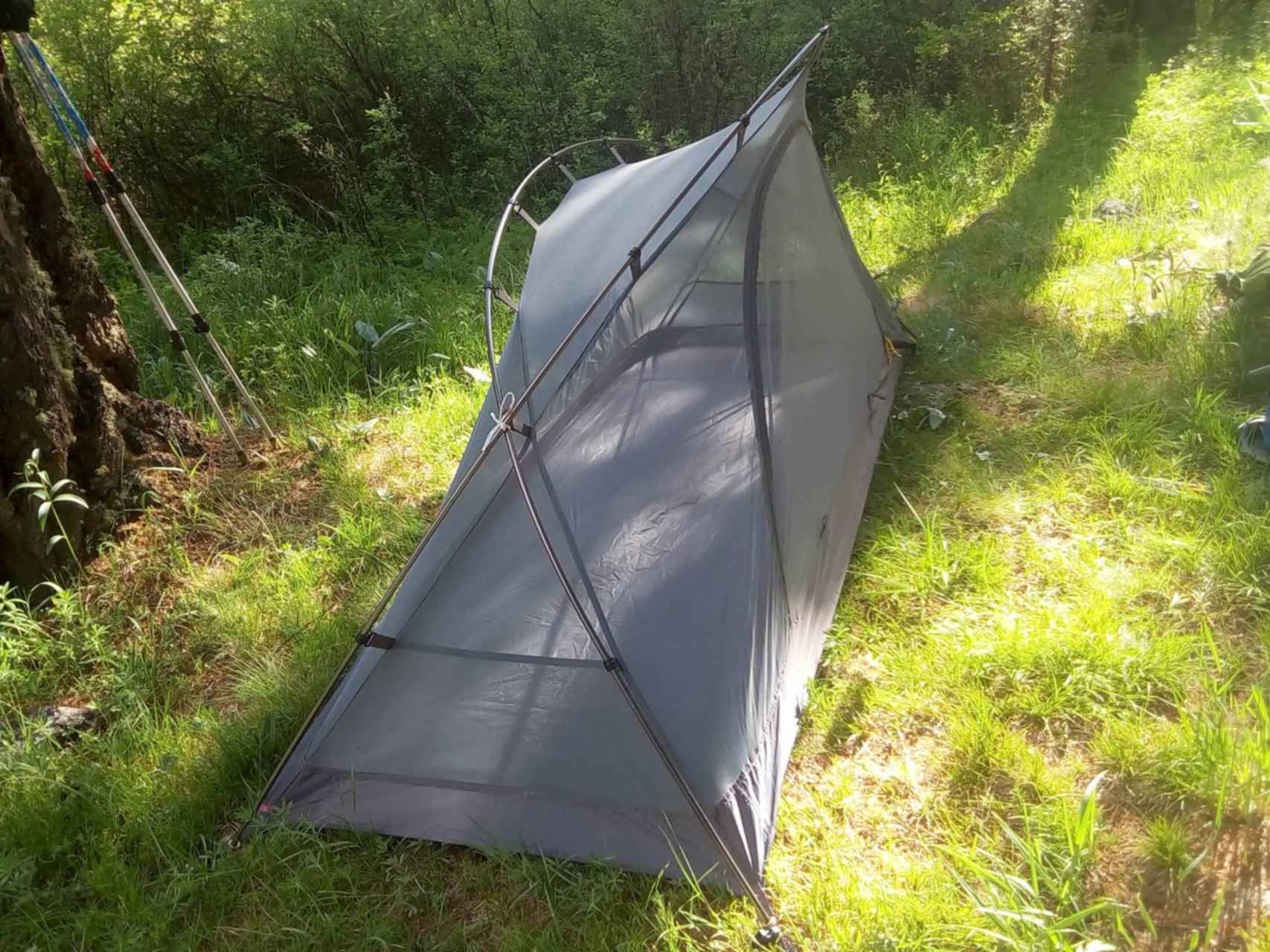 Палатка шелтер корум. Палатка splav shelter. Шелтер карповый. Сплав shelter. Палатка сплав shelter олива.