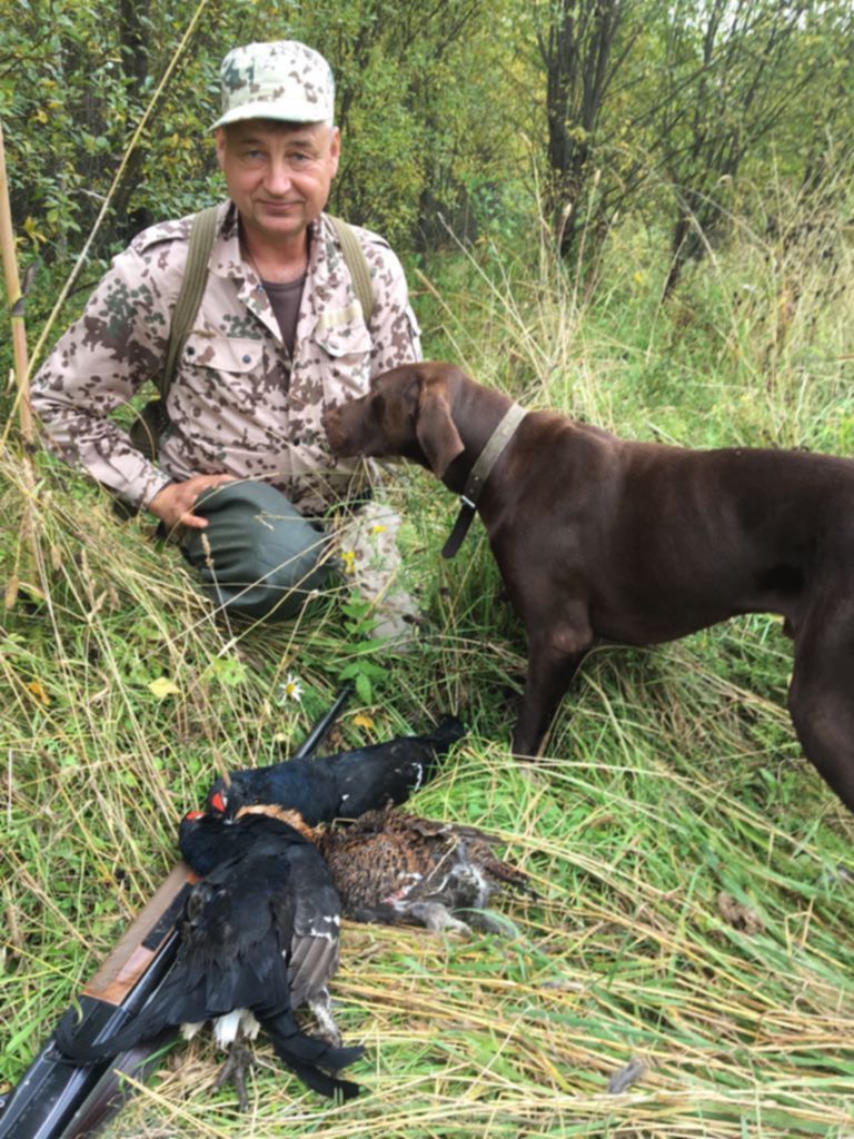 3. Помещение