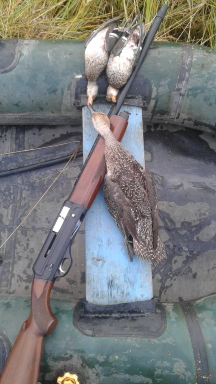 Весенняя охота. Весенняя охота. Охота на селезня весной с подсадной видео. Как охотиться на утку весной. Как охотиться на утку весной.