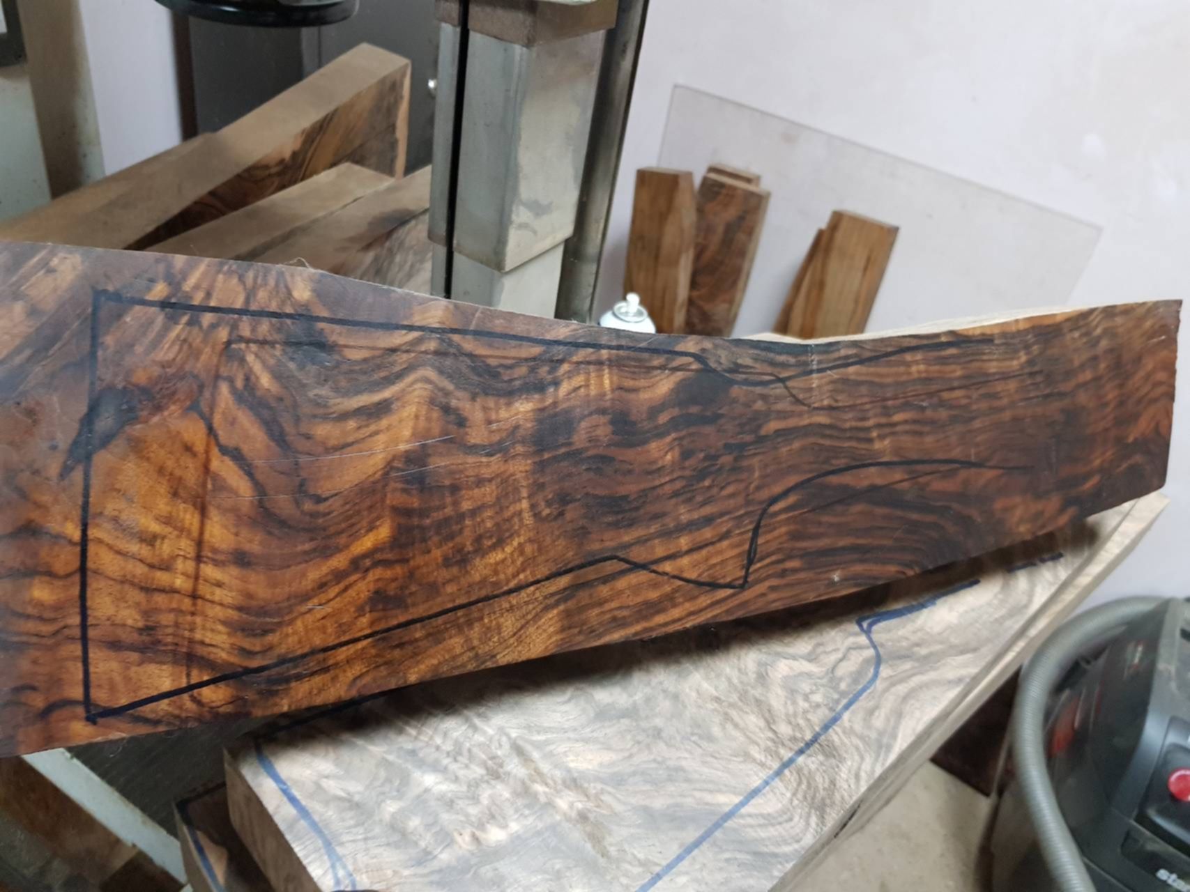 еловый комель. комель. комель дуба. комель. комель березы.