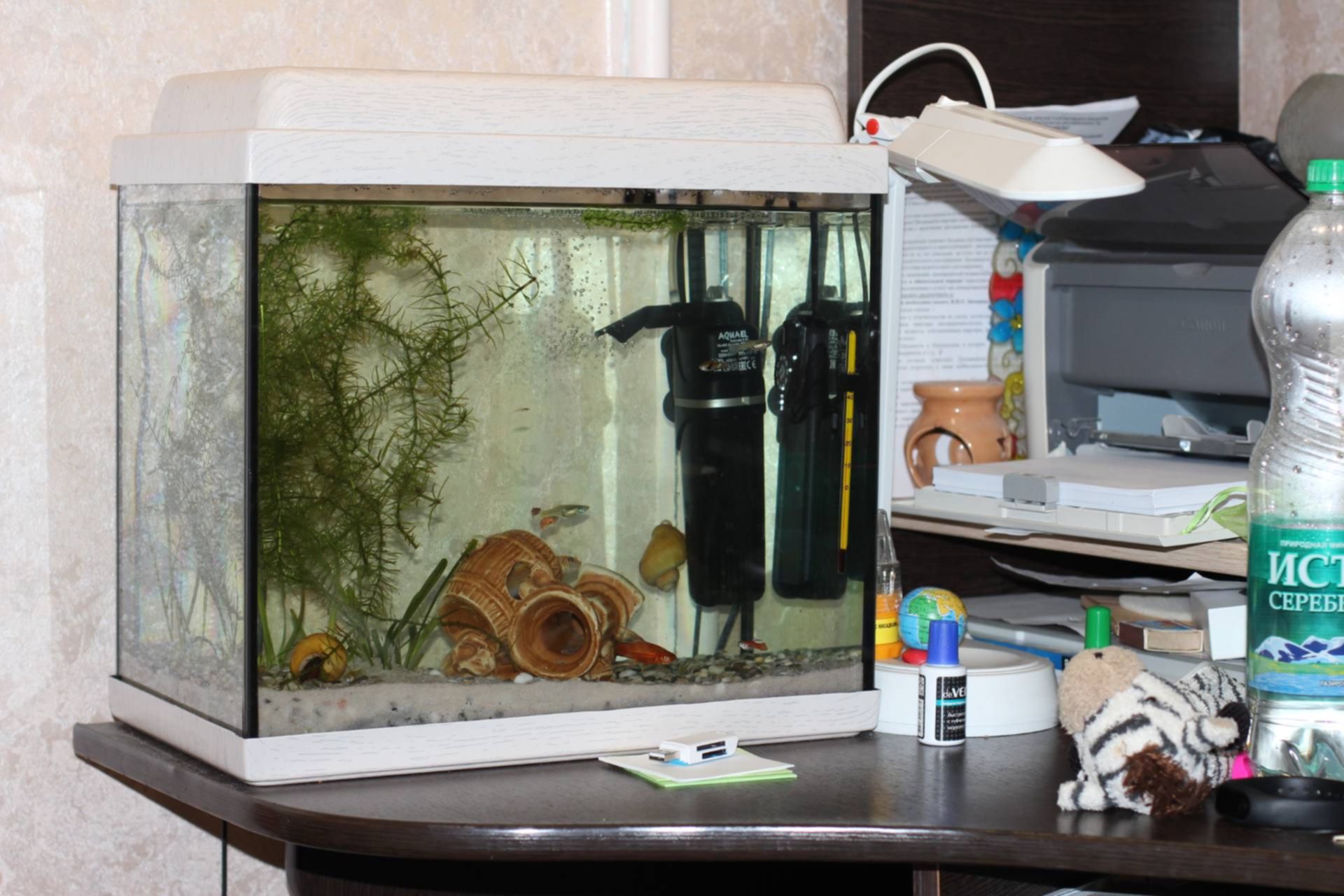 Отключили свет аквариум. Аквариум 230 литров. Аквариум CAE 230. Компьютерный стол с аквариумом. Кислород для рыбок в аквариуме.