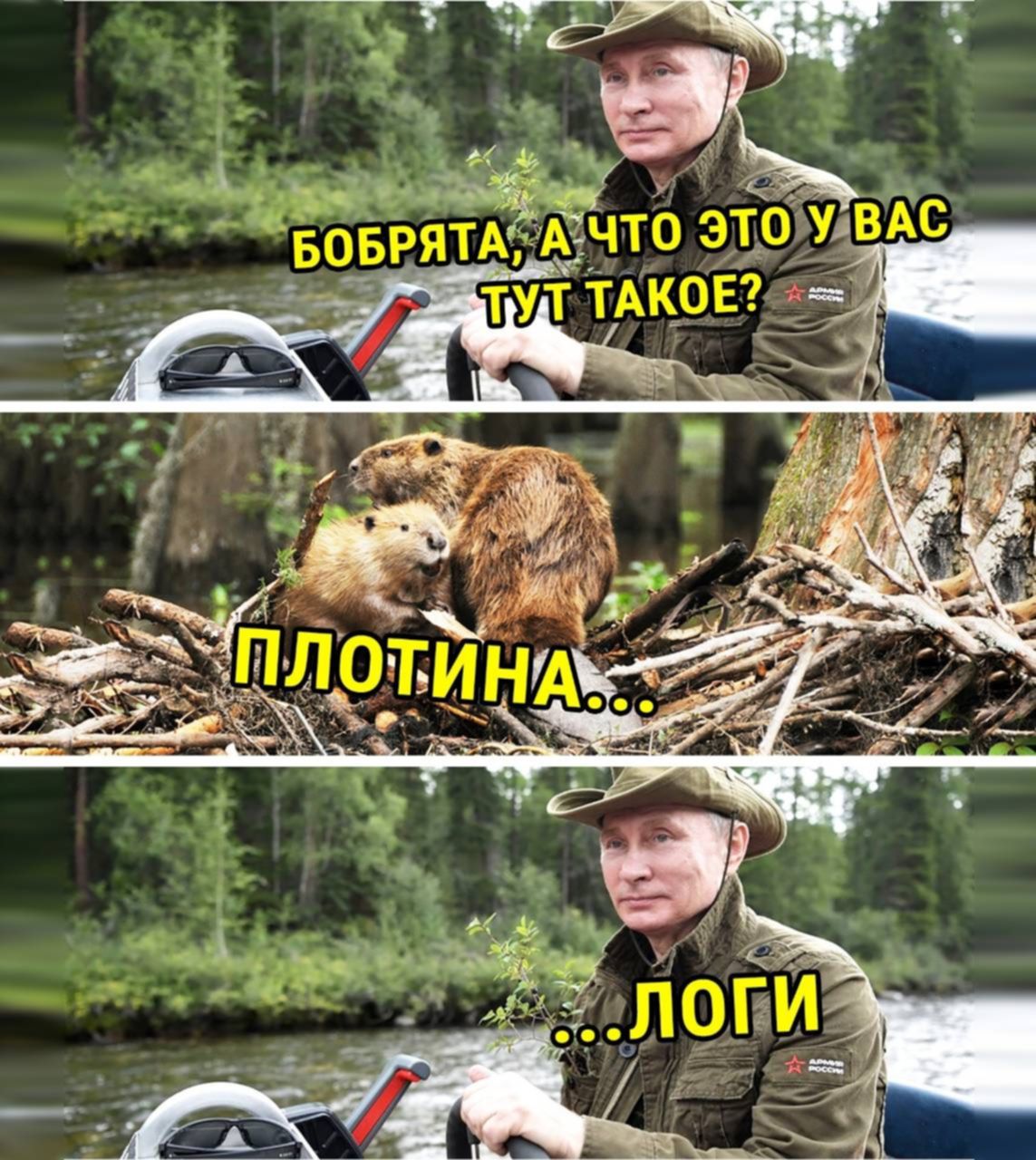 А это. Плати налоги Мем бобры. Путин и бобры. Путин плати налоги бобры. Плати налоги Путин Мем с бобром.