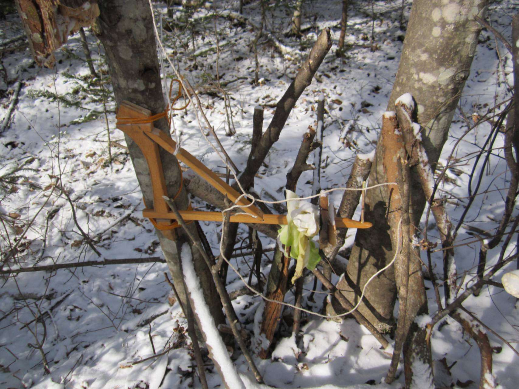 охота по первому снегу. охота с гончими на зайца 2019. охота на зайца на засидках зимой. охота на зайца на засидках зимой. охота на зайца на засидках зимой.