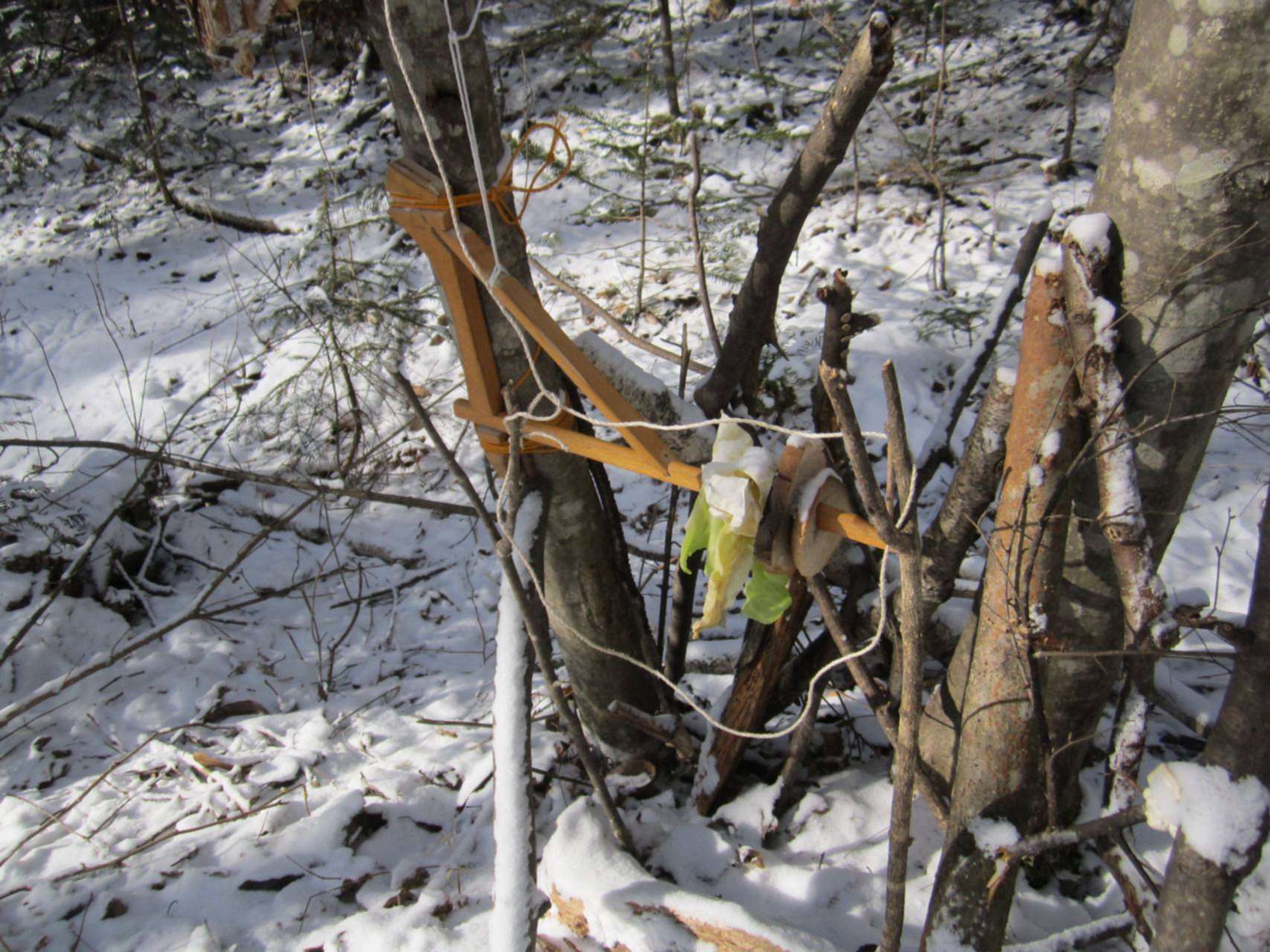 охота на зайца на засидках зимой. охота на зайца на засидках зимой. зимняя охота на зайцев из засидки. охота на зайца на засидках зимой. засидки на кабана.