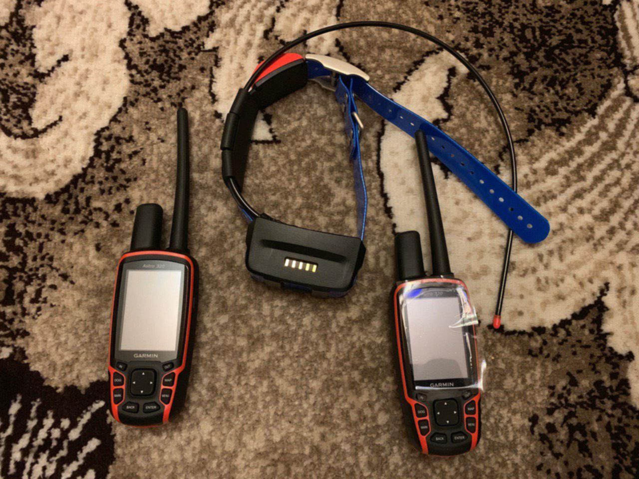 Гармин астро с ошейником на авито. Garmin Astro 320. Garmin Astro 320 с ошейником. Навигатор Астро 320 с ошейником т5. Garmin Astro 320 Юла.