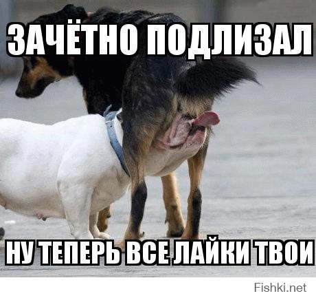 А вот и лучший попец Австралии