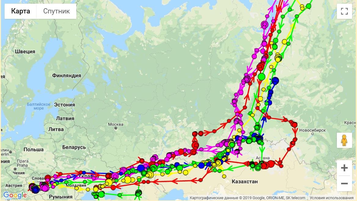 Карта миграции гуся весной