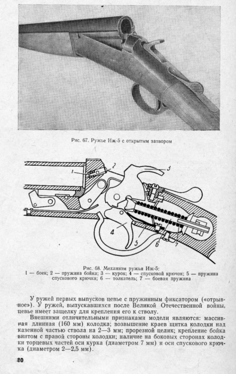 Иж 5 ружье чертеж