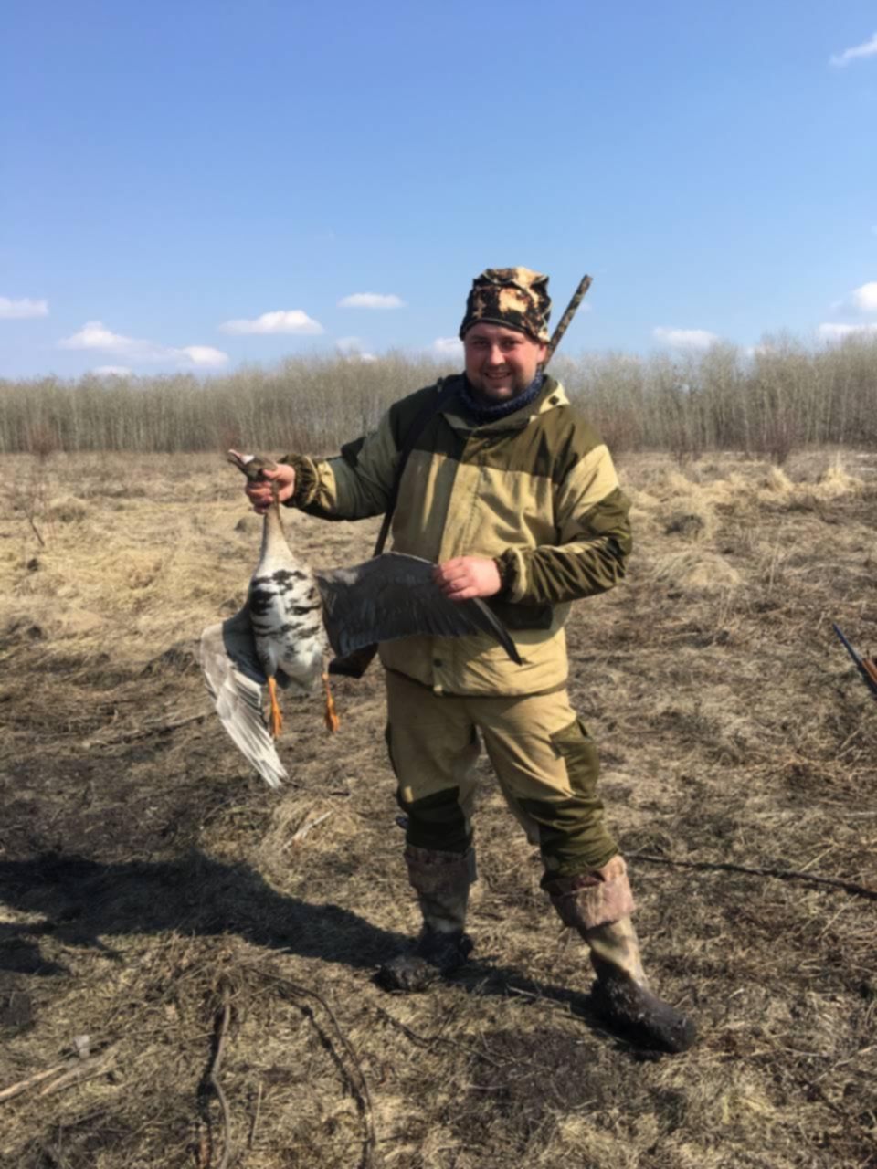 Сроки весенней охоты в тамбовской области. Весенняя охота 2024 Тамбовская область.