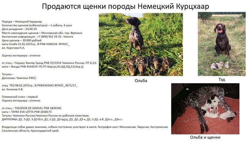 nobodyhere : купи собаку, плащ и ствол... : Катастрофы и выживание в к