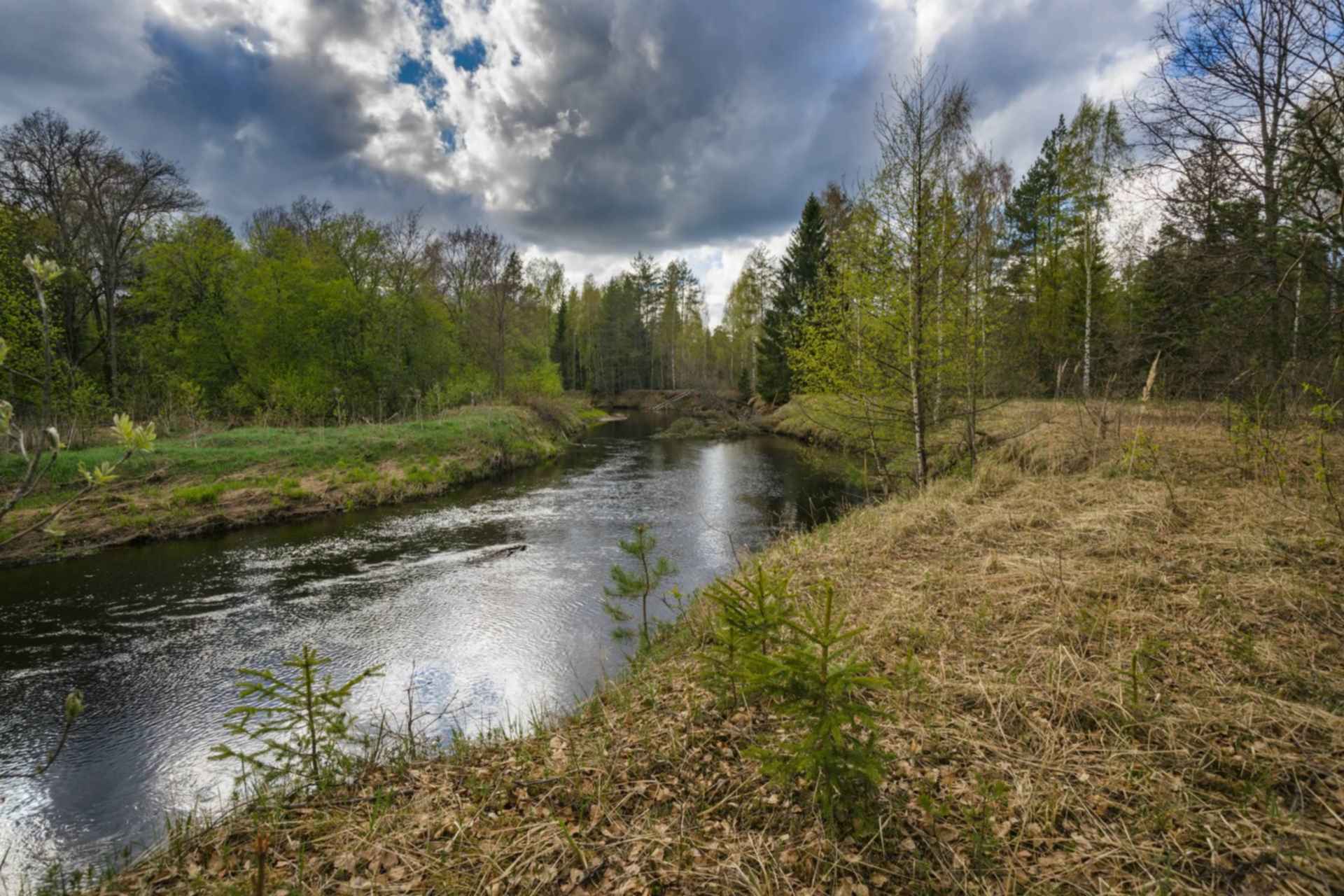 река западная двина