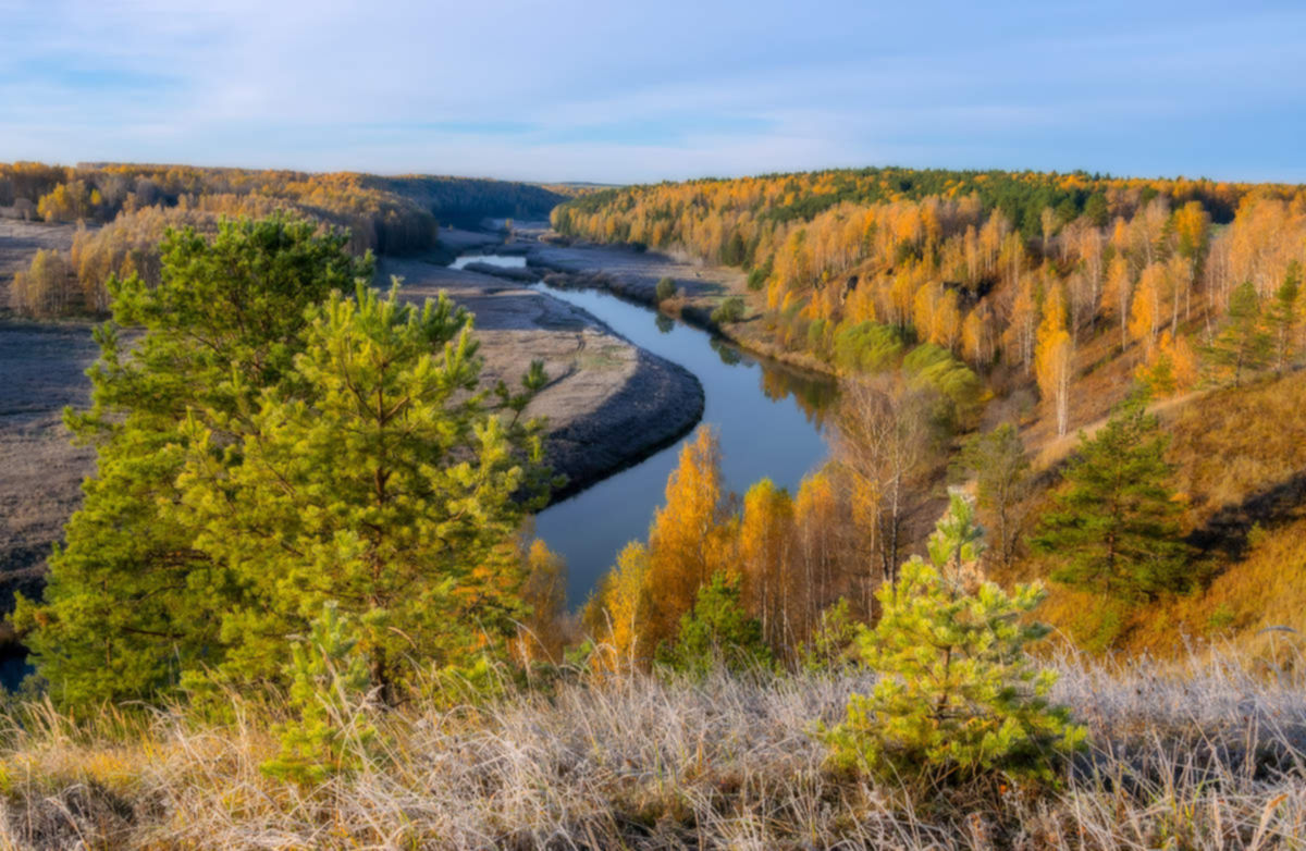 Природа тут. Река Немда Кировская область. Пижемский заказник Киров. Заповедник Пижемский в Кировской области. Советск Пижемский заказник.