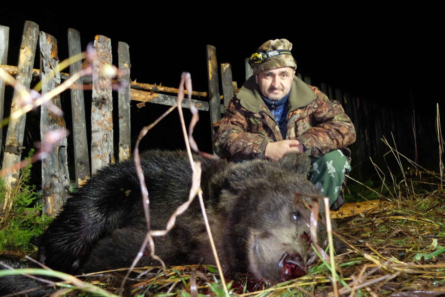 Фото Добытого Медведя