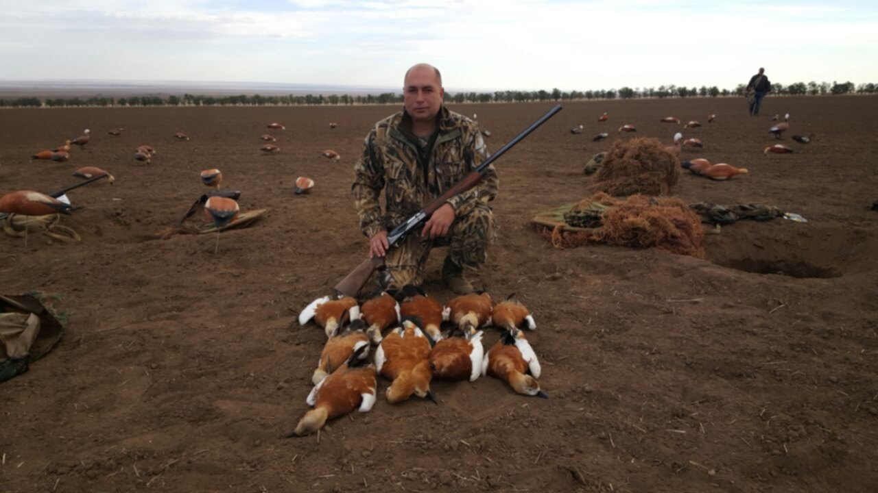 Погода в красном маныче туркменского