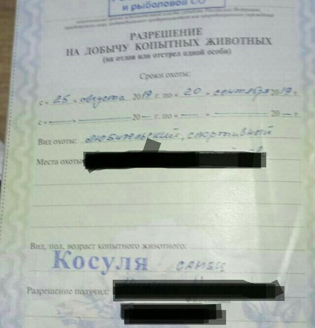 Манок на косулю своими руками чертежи