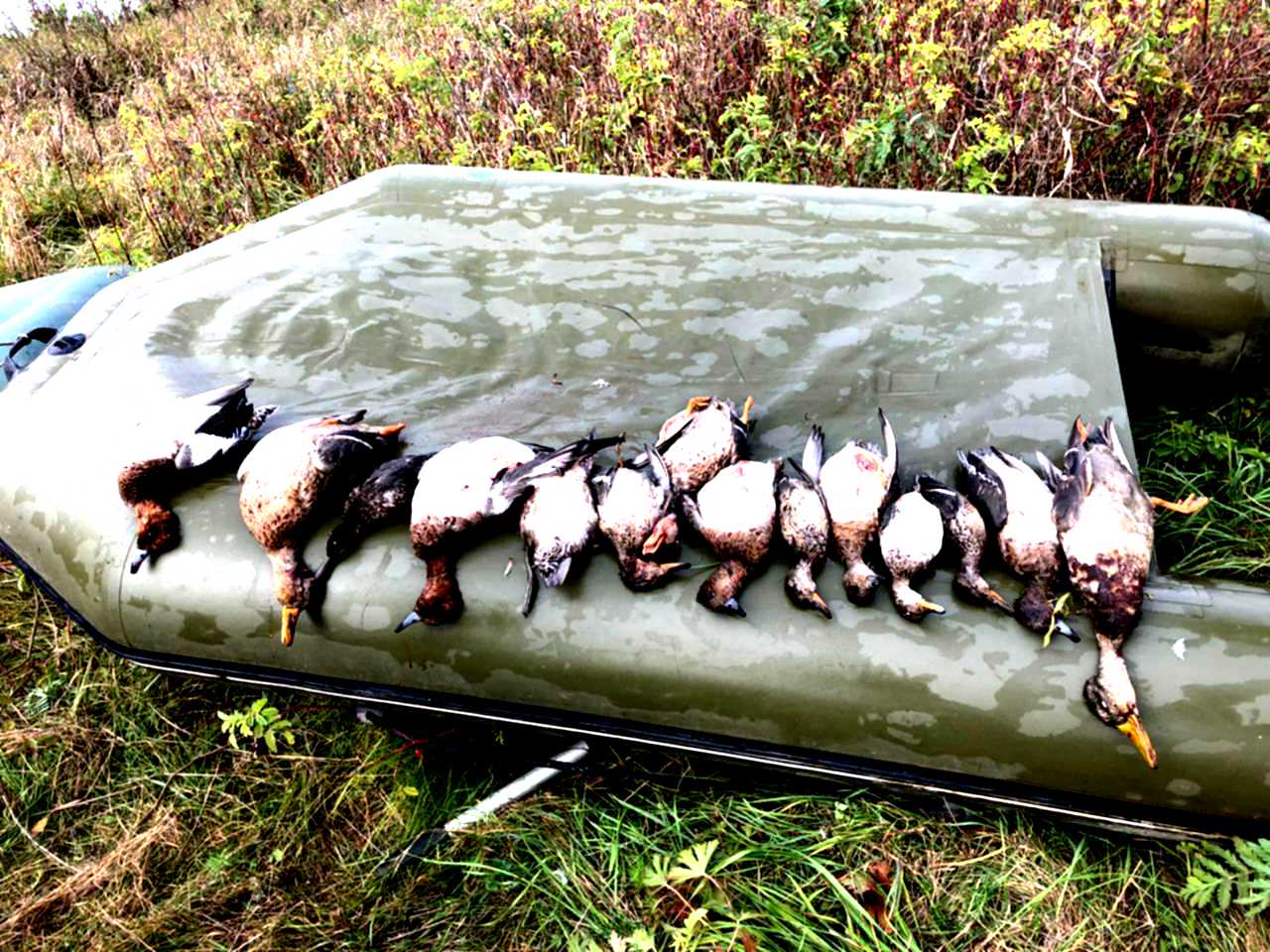 уточка 2022. экспедиция утренней утки. утка игрушка 2022. популярные игрушки 2022 утка. православная утка.