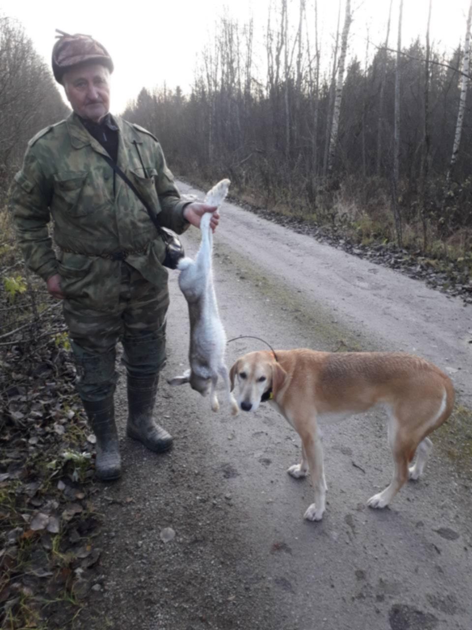 Охотник с гончими, охота на зайца. Охота с русскими гончими брянская обл 2020 г. Чиркин охота на куницу. Охота с гончими на зайца 2019. Охота с сергеем швецовым на зайца.
