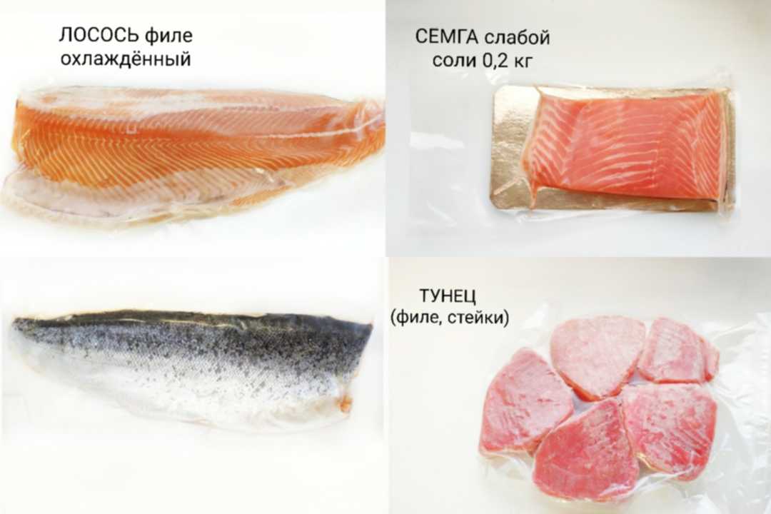 Чем отличается лосось от семги. Горбуша лосось семга форель разница. Кета или форель разница. Форель и лосось отличия.
