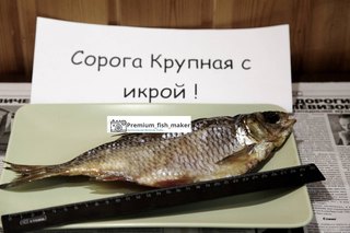 На каждую рыбу