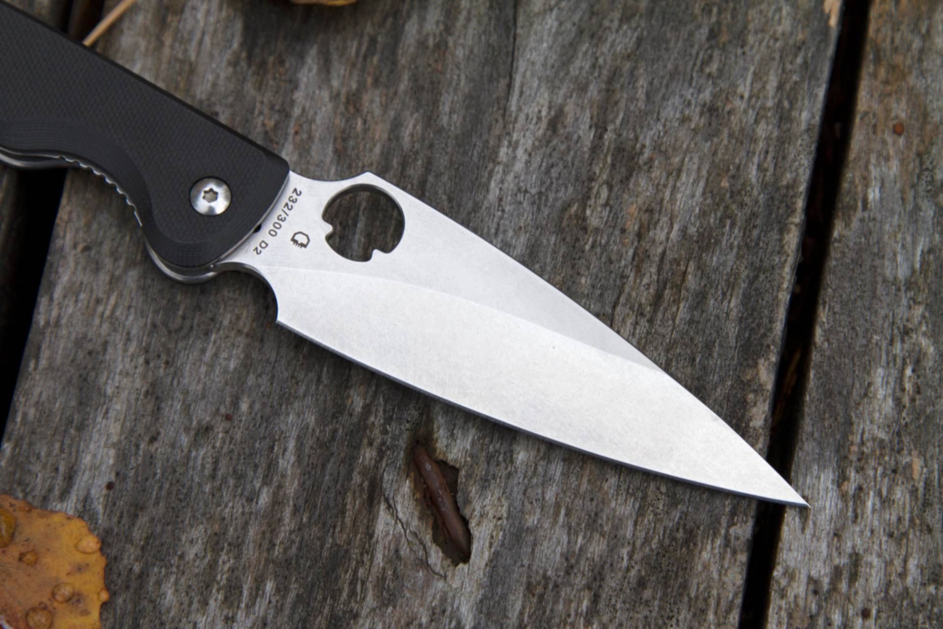 Кощей фиолетовый dagger. Филжер даггерр. Нож daggerr arrow limited edition сталь s35vn. Daggerr. Sting mini daggerr.