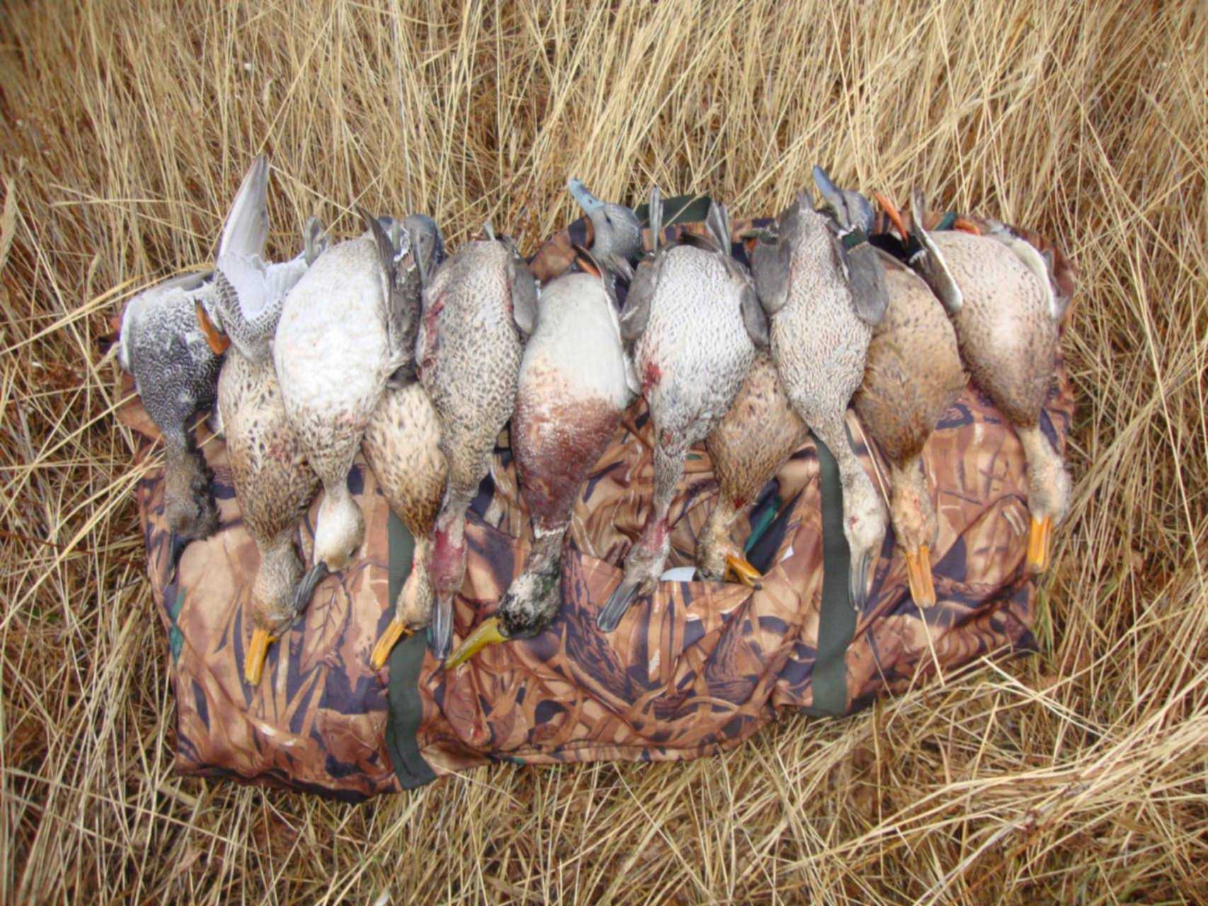 добыча уток