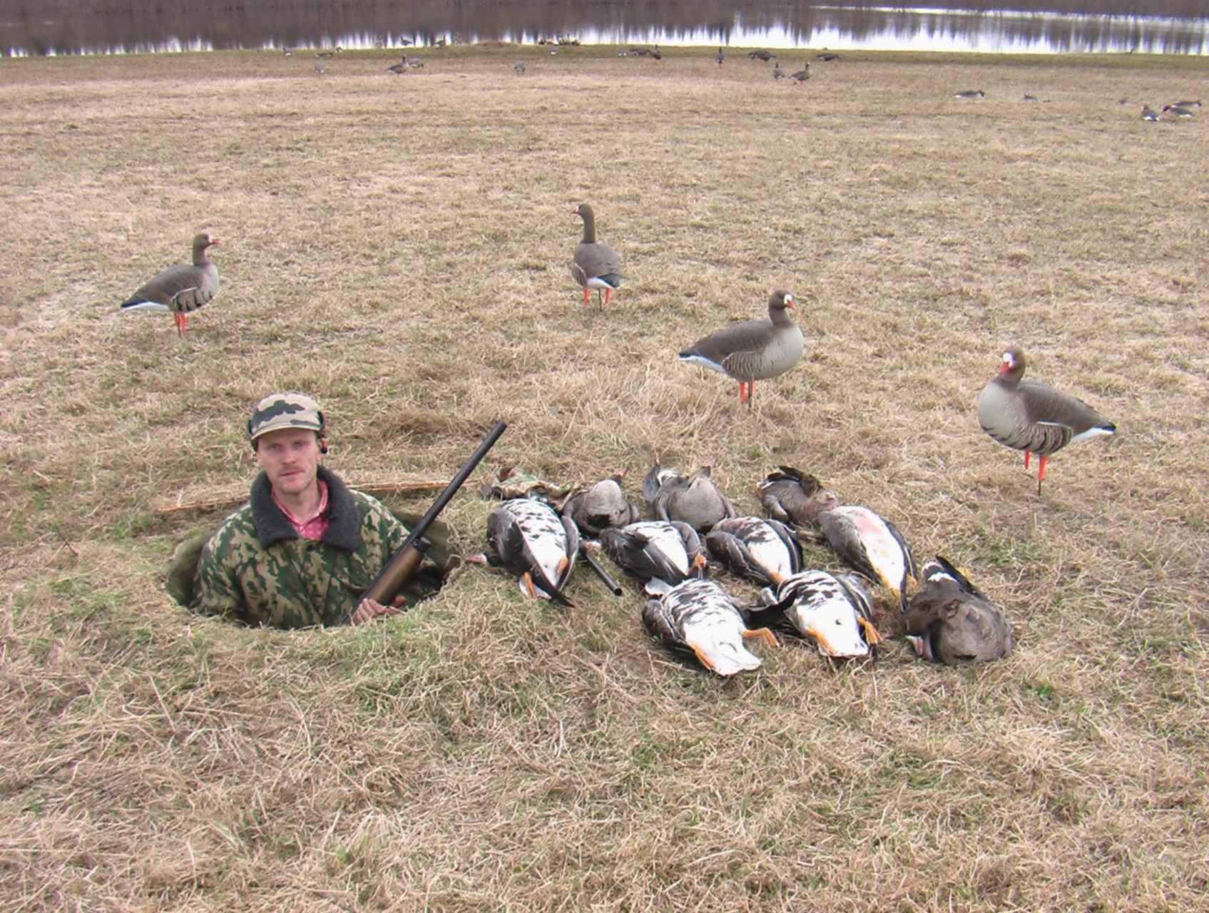 Где охотиться на гуся. Охота на гуся в Архангельской области 2022. Охота на гуся 2022 Весенняя. Охота на гуся на болоте 2022.
