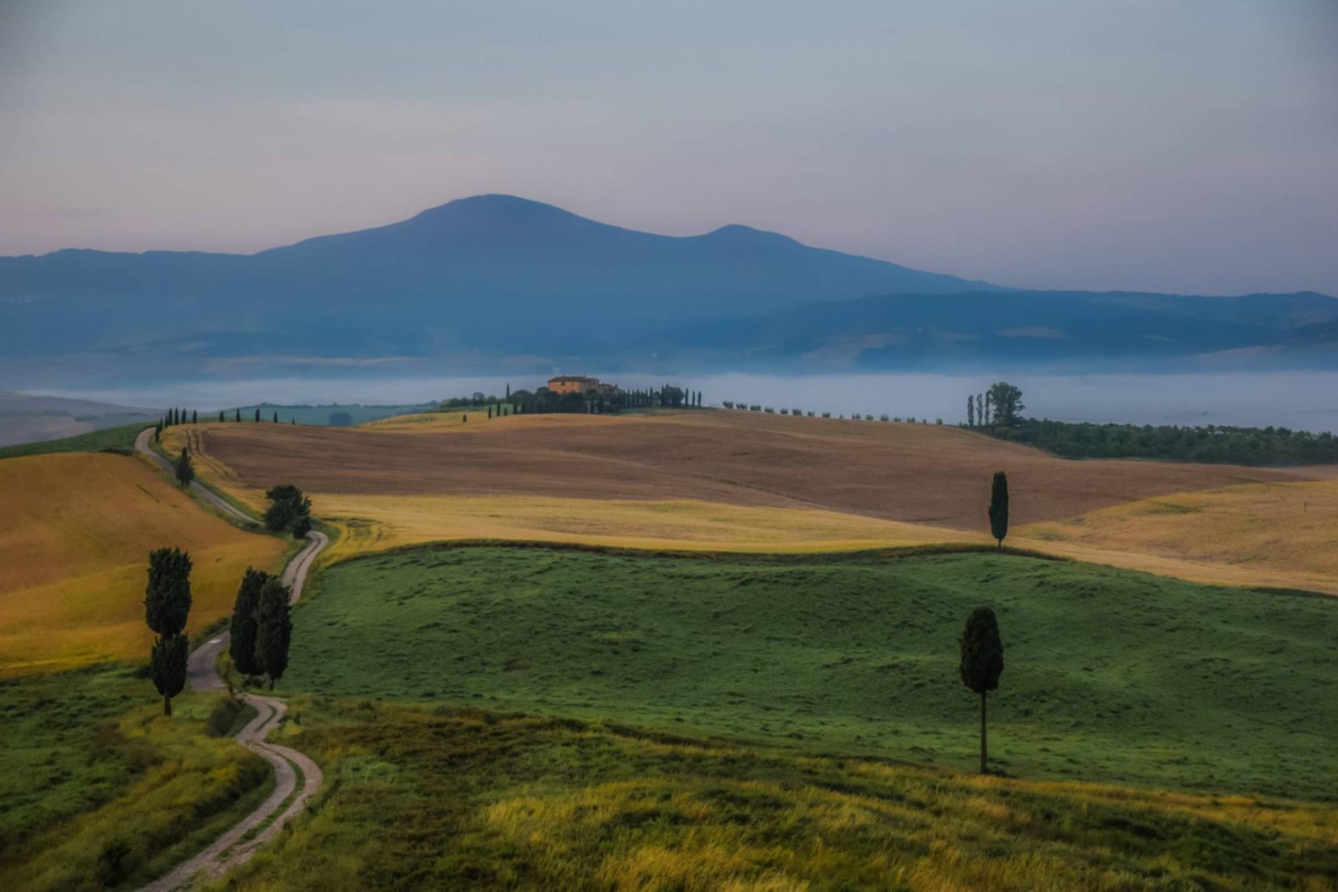 Тоскана Животное Фото