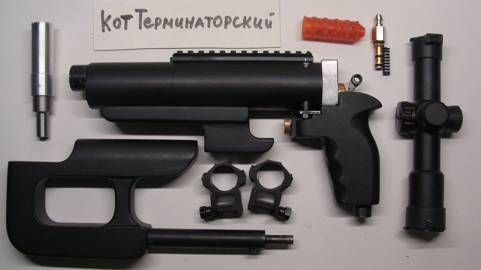 Калла эфиопская зантедеския. Калла ла паз. Кала 5. Калла голд краун. Калла грейп вельвет.