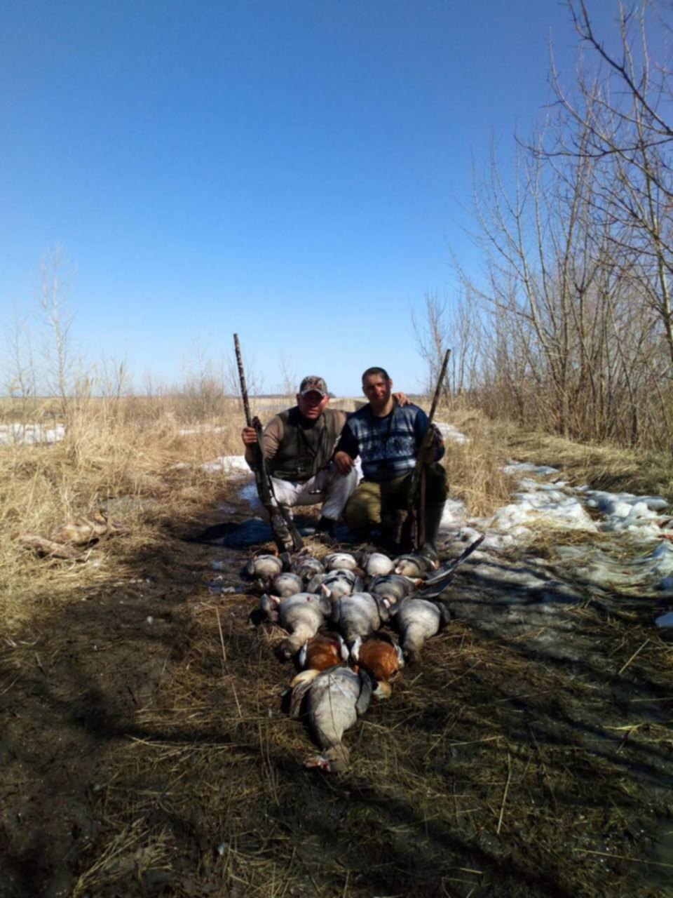 Весенняя охота на гуся 2021г. День гуся в кологриве 2024. Охота на гуся 2025. Охота на гуся на ямале 2020. Охота на гуся в белоруссии.