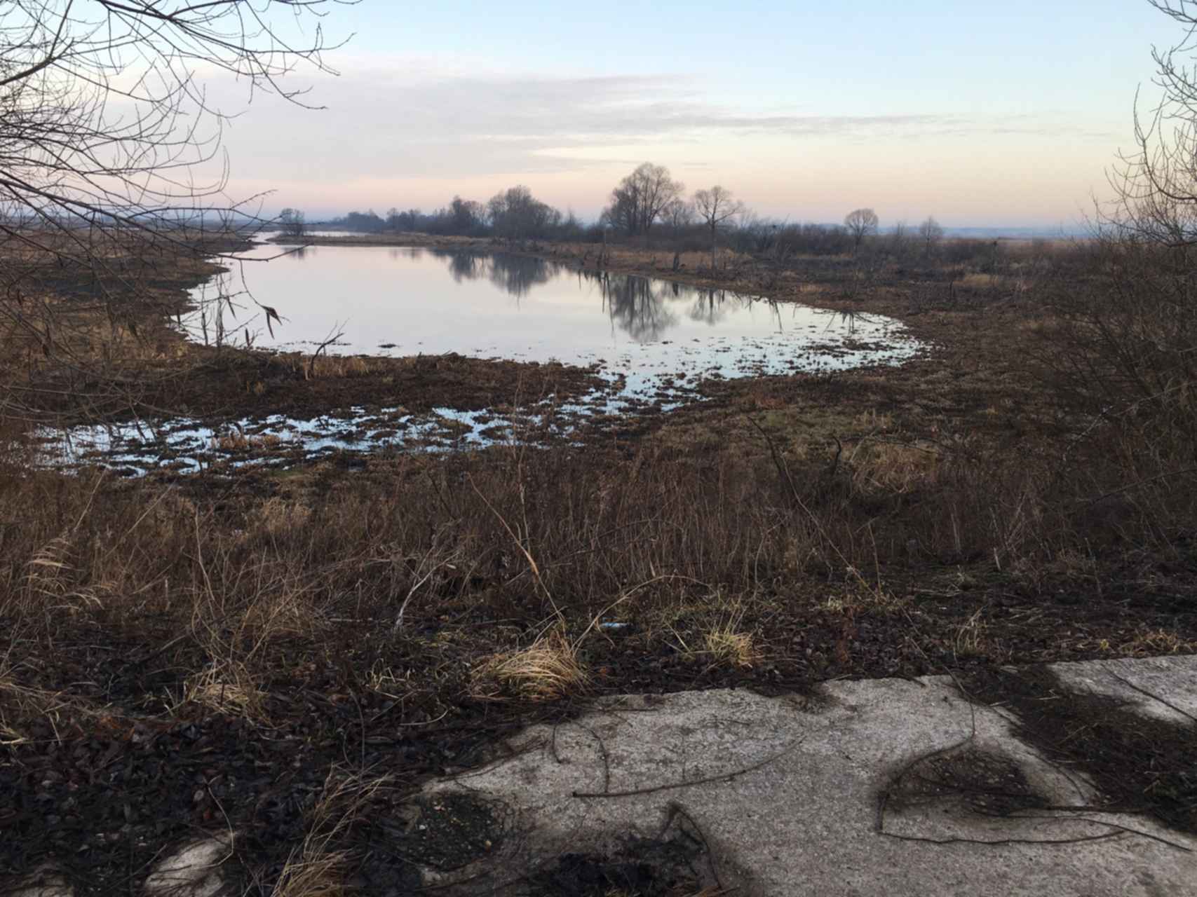 Воскресенск Берендино