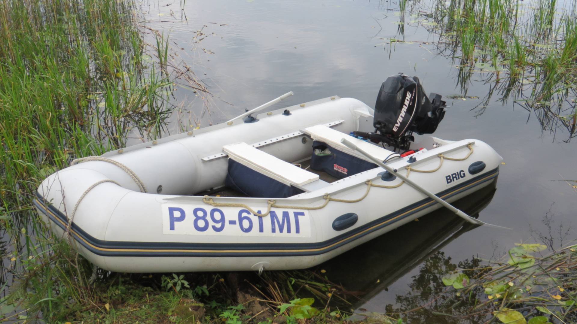 Лодочный мотор tohatsu mfs 50a etl. Моторная лодка пвх. Лодка с мотором без регистрации. Лодка 200 лошадиных сил. 9.
