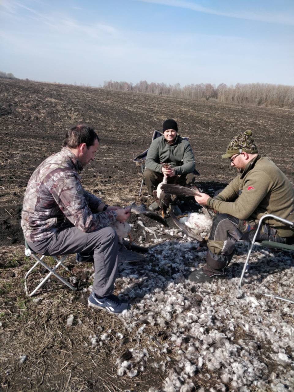 Где сейчас летит гусь 2024. Охота на гуся 2023 Весенняя