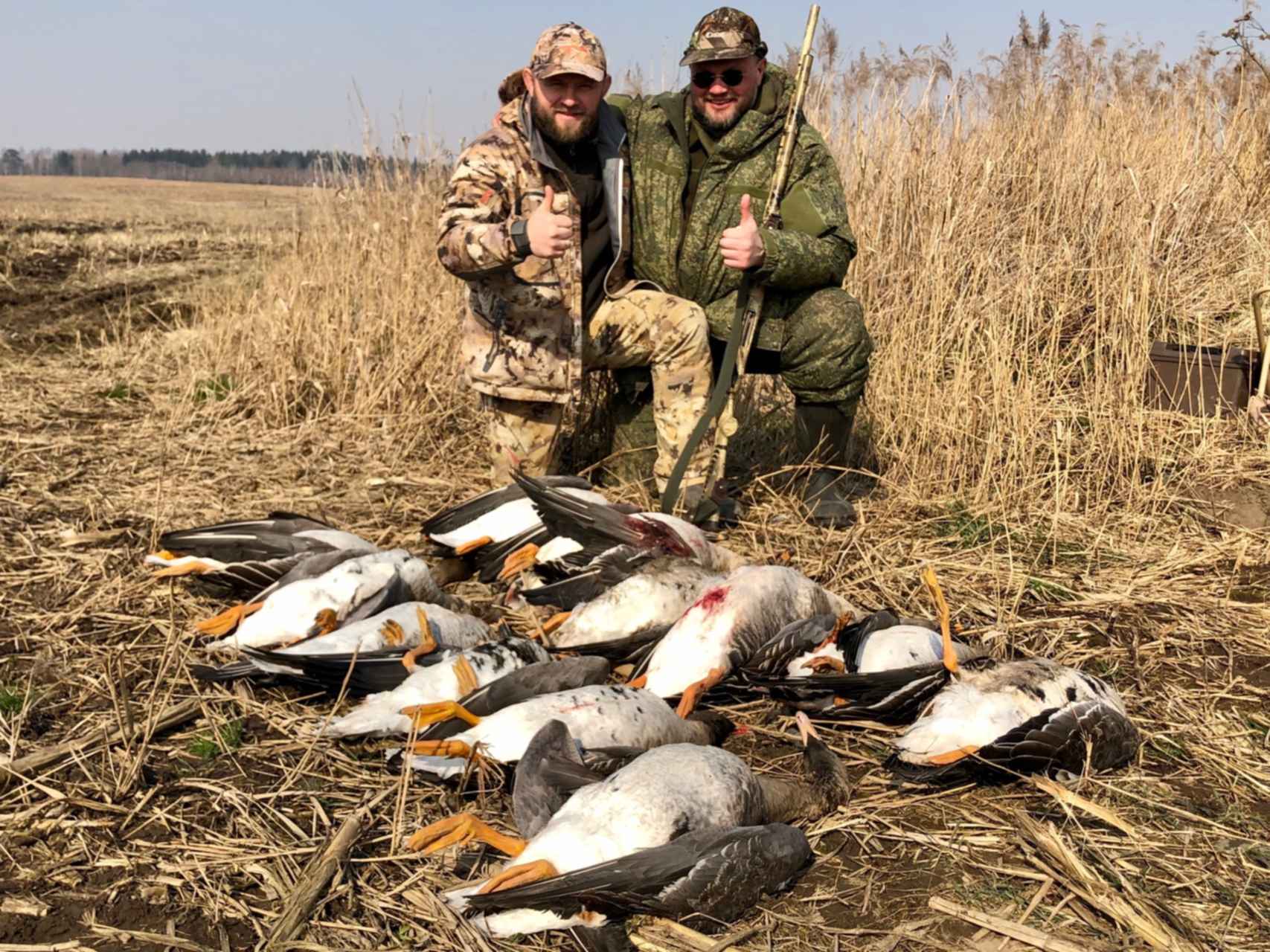 весенняя охота на гуся в белоруссии на браславских озерах. весенняя охота на гуся 2021. весенняя охота на гуся 2021. охота на гуся 2022 весенняя. охота на гуся в белоруссии.