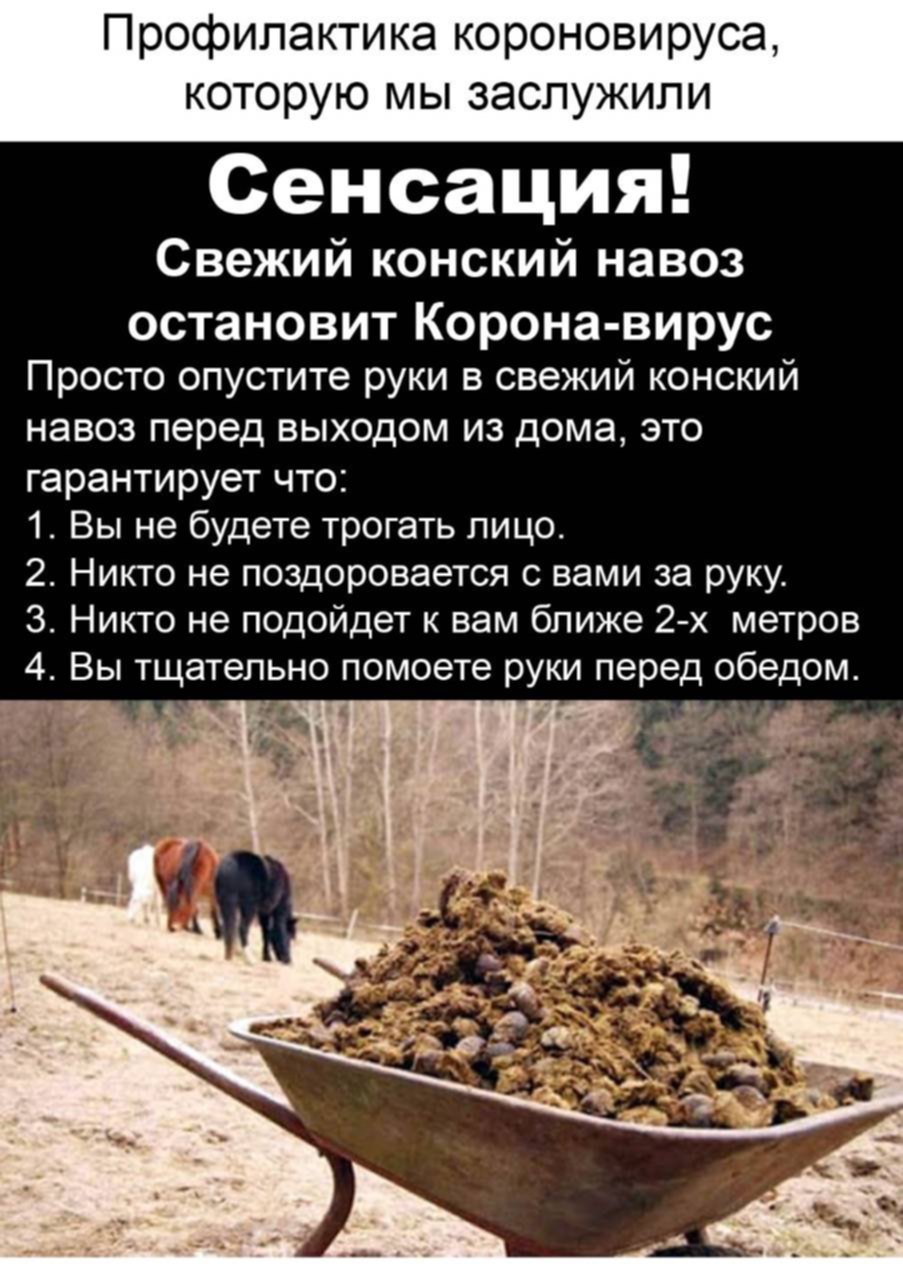 Навоз. Молоко пахнет навозом. Молоко пахнет навозом. Парное молоко. Молоко имеет запах.