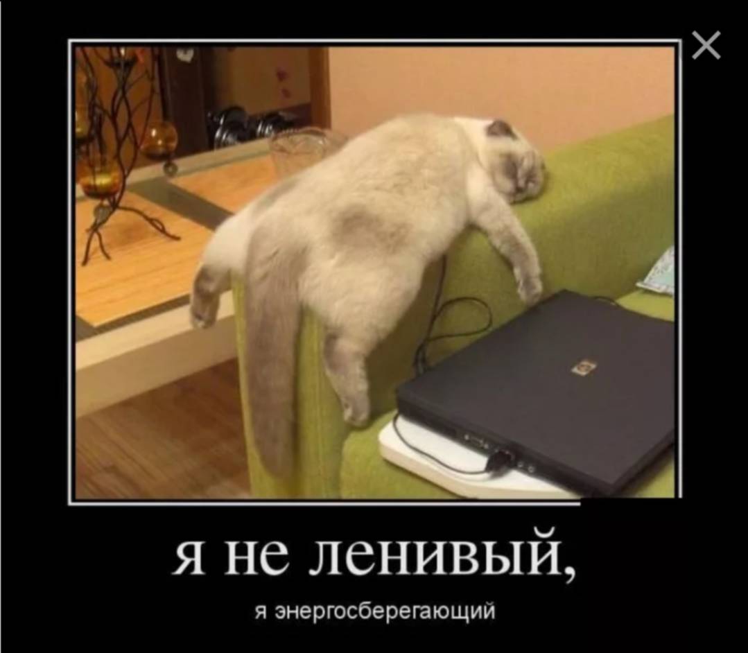 Пришла из магазина и разбудила лентяя