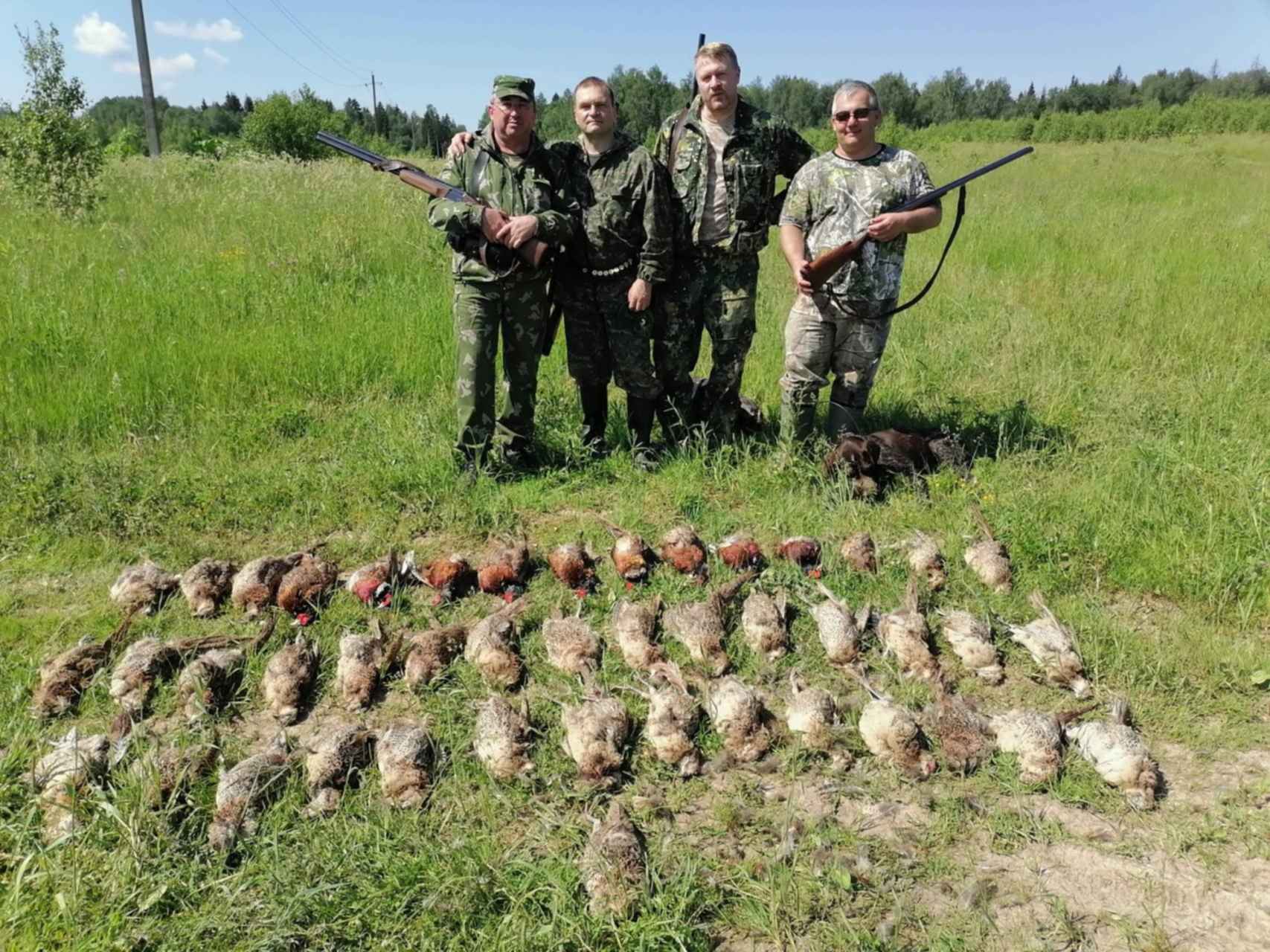 Охота в ставропольском крае. Охота на фазана в Ставропольском крае.