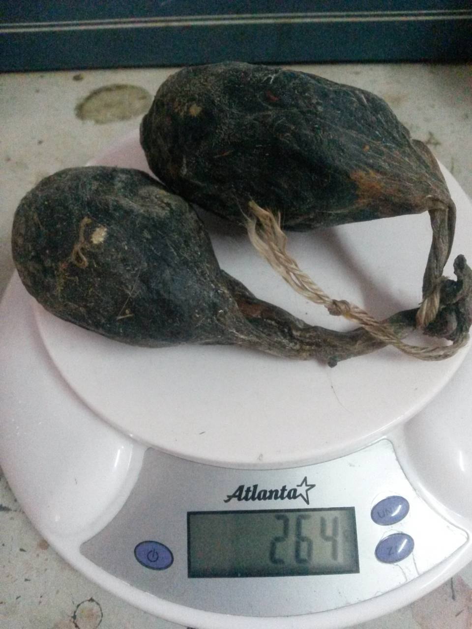 Экстракт бобровой струи. Бобровая струя-мускус бобра. Струя бобра в спб. Экстракт бобровой струи мускус. Настоянная струя бобра.