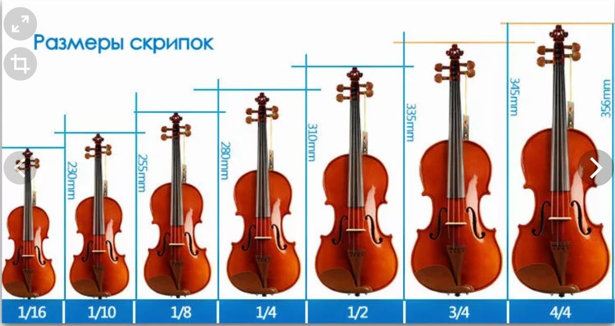 Струнные Инструменты Картинки Для Детей