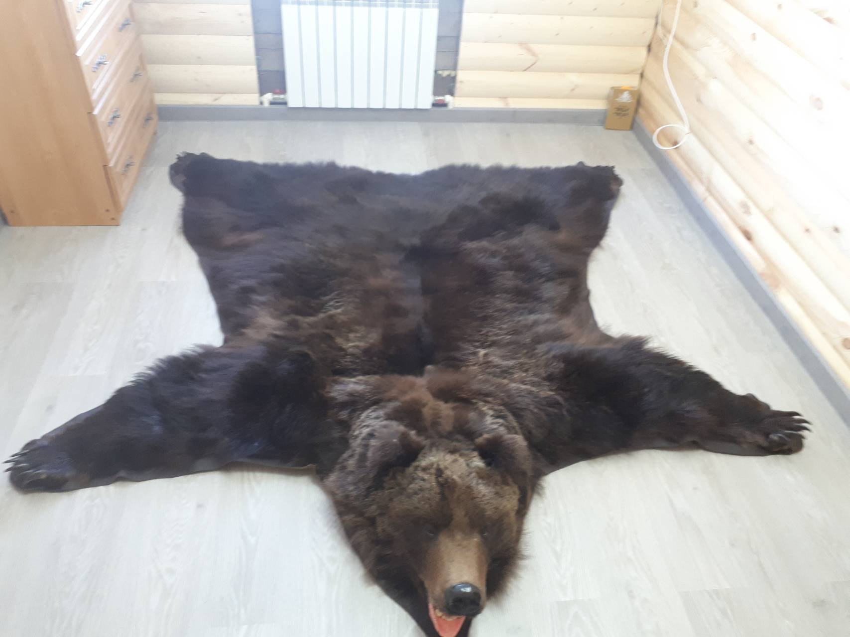 Купить Шкуру Белого Медведя Цена