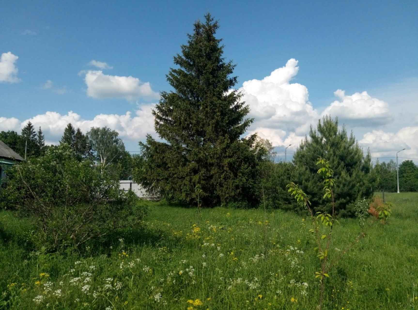 банино тульская область. погода в с тарасьево тул обл. тарасьево тульская область. погода в с тарасьево тул обл. село тарасьево суворовский район.