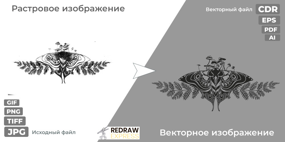 Отрисовка вектора по картинке
