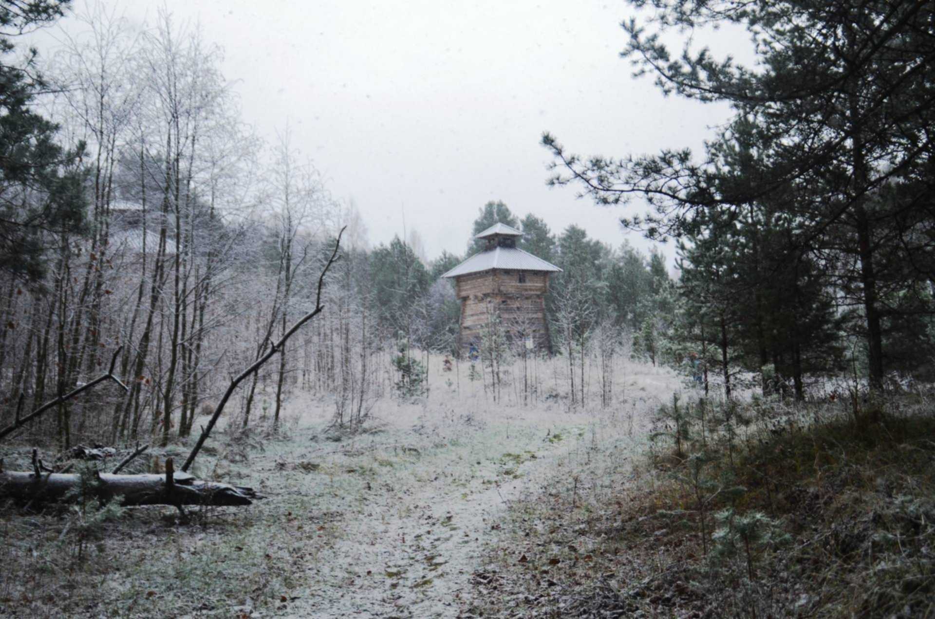 Сорок забытый. Смоленская область страшные места. Ганс Смоленск. Гнездовские Курганы Смоленск фото.