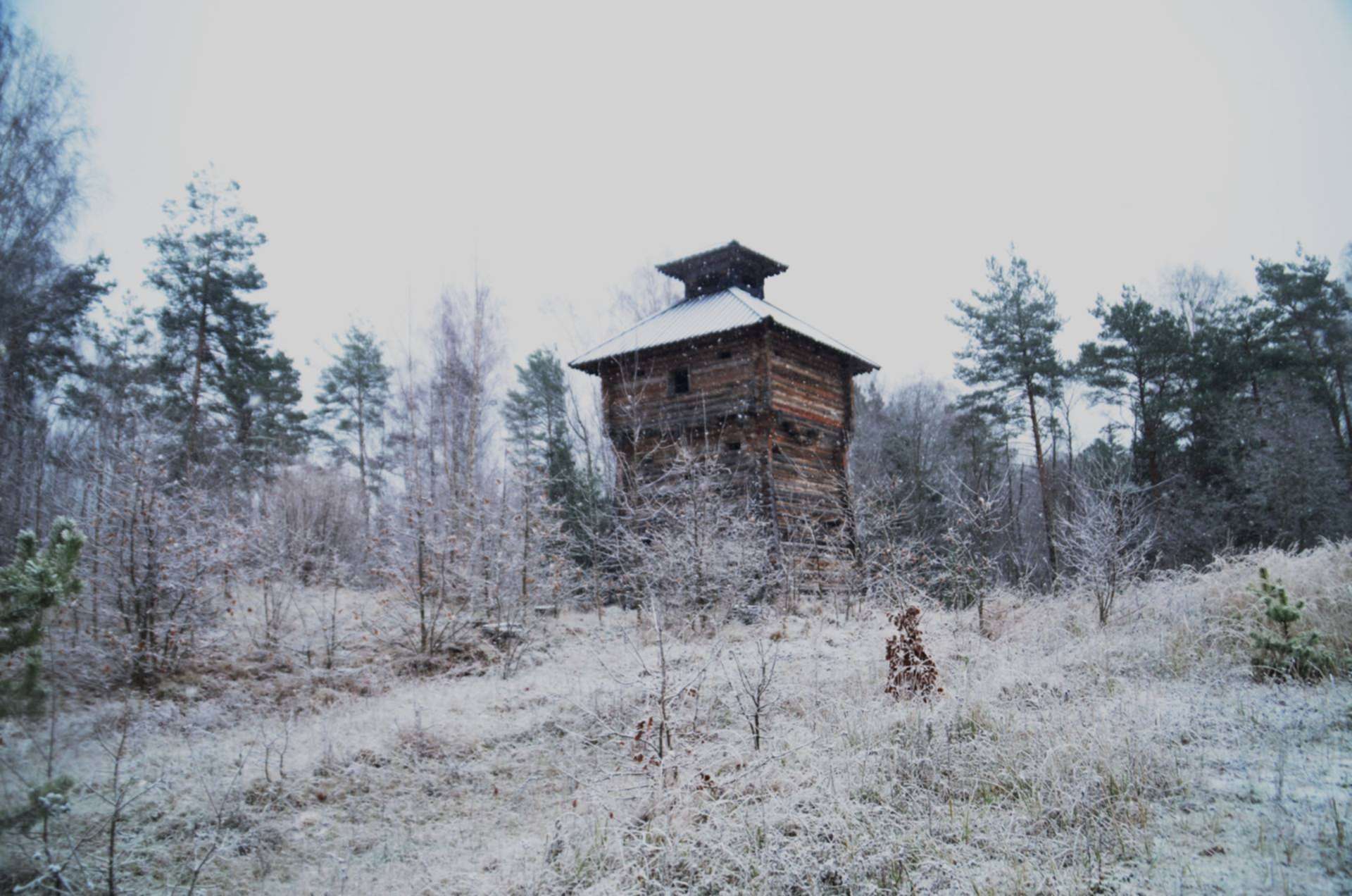 Сорок забытый. Смоленская область страшные места. Ганс Смоленск. Забытое место.