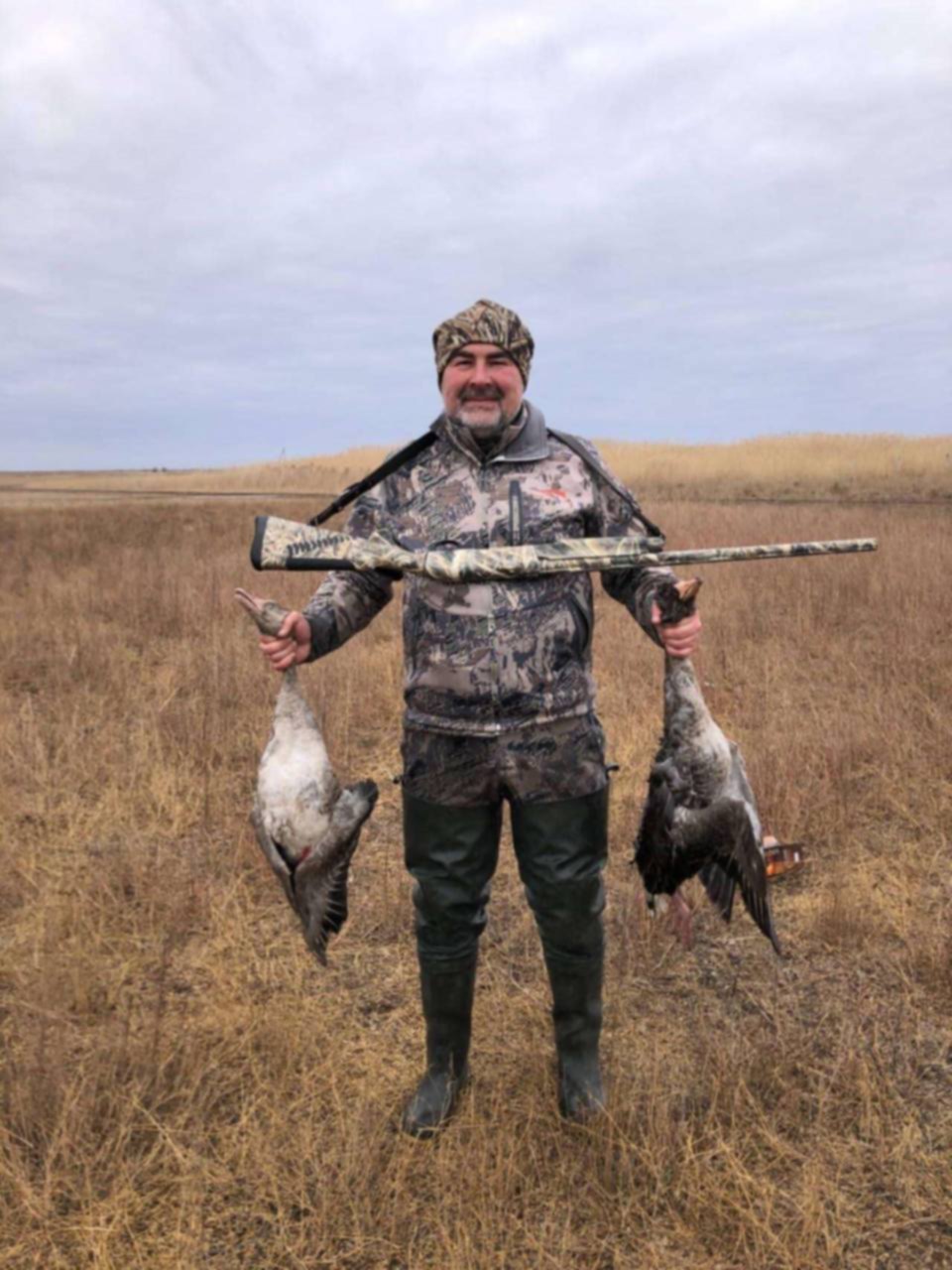 Гуси-гуси га-га-га подвижная игра. Волка гусь. Волка гусь. Игра гуси и волк. Игра гуси лебеди и волк.