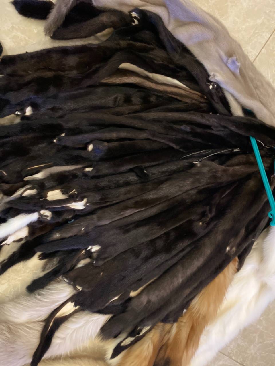 Торговали соболями чернобурыми лисами. Продать мех. Шкурки норки выделанные. Продать мех. Меха пушных зверей.