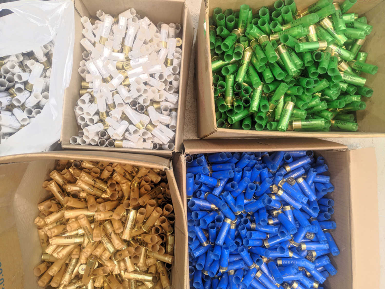 Стреляные гильзы 12 калибра. Патроныч. Патроныч. Патрон патроныч. Даррен гильзы.