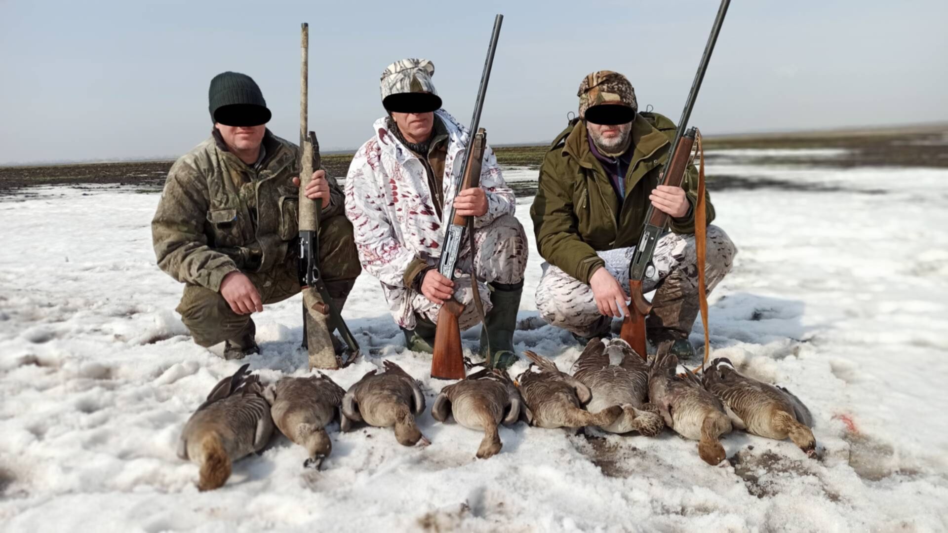 Можно ли охотиться весной. Охота на гуся в Саратовской области 2021. Охота на гуся в Саратовской области 2022.