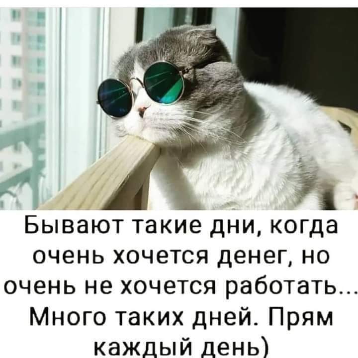 Хочу деньги но не хочу работать. Хочу много много денег. Бывают такие дни когда очень хочется денег. Картинка бывают такие дни когда очень хочется денег. Много хочу майка.